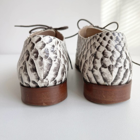 Diane Von Furstenberg Ziggy Boa Snake Print Oxford Loafers Size 8 - Picture 6 of 7